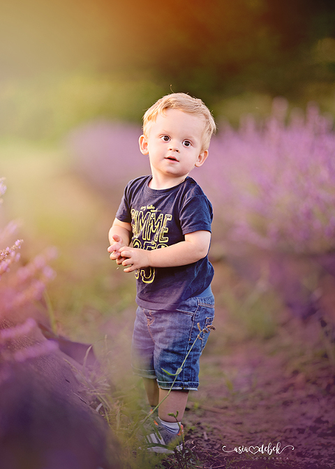 sesja w lawendzie Police Szczecin sesja lawenda