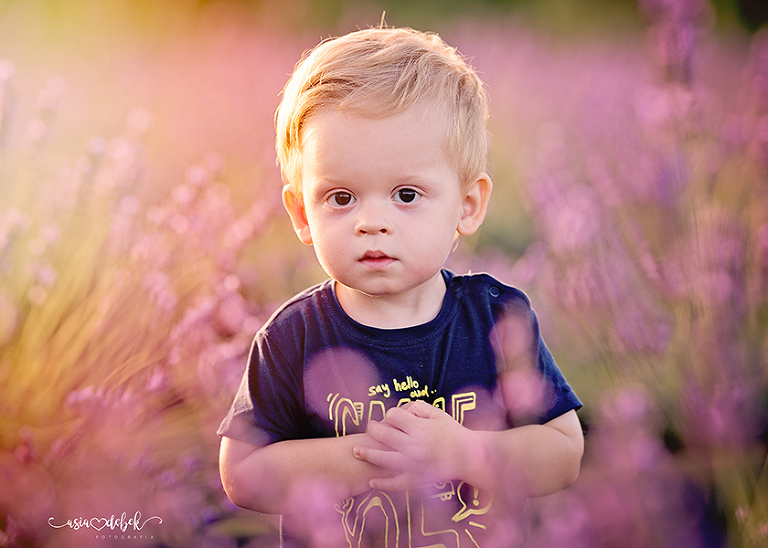 sesja w lawendzie Police Szczecin sesja lawenda