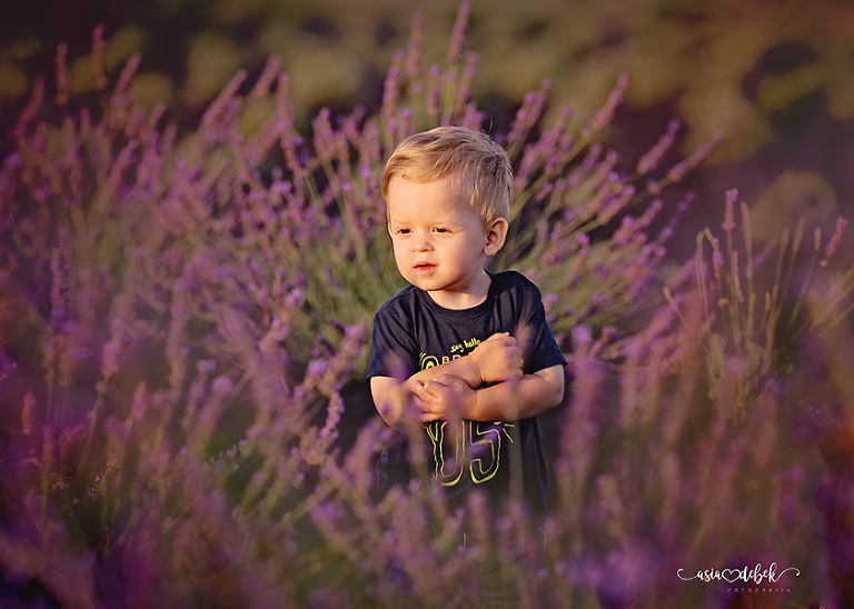 sesja w lawendzie Police Szczecin sesja lawenda