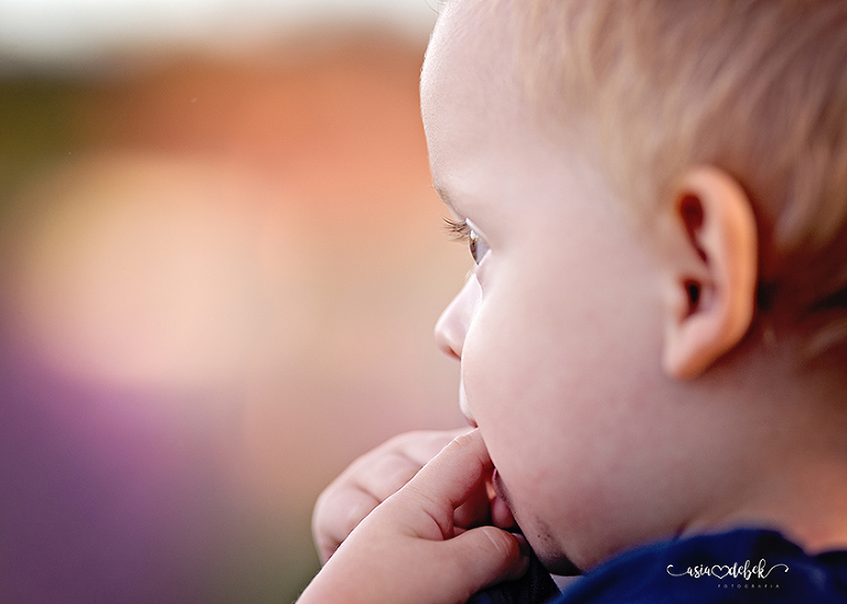sesja w lawendzie Police Szczecin sesja lawenda