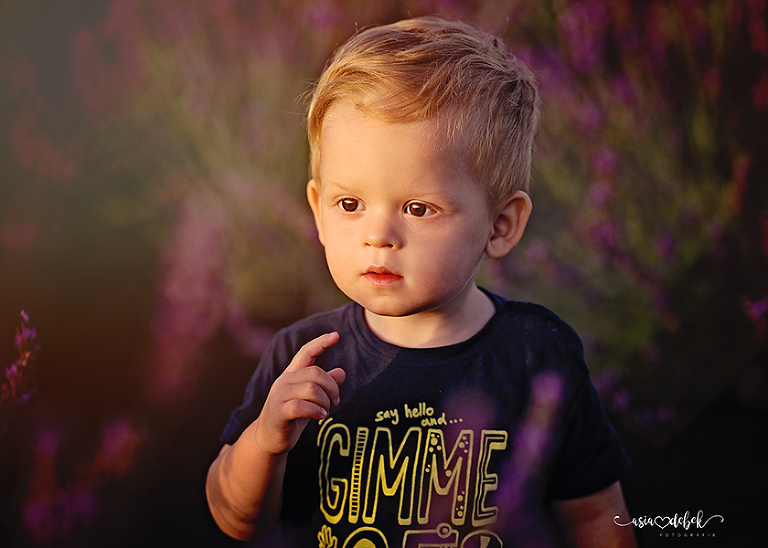 sesja w lawendzie Police Szczecin sesja lawenda