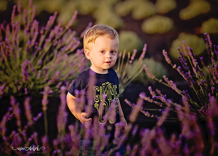 sesja w lawendzie Police Szczecin sesja lawenda