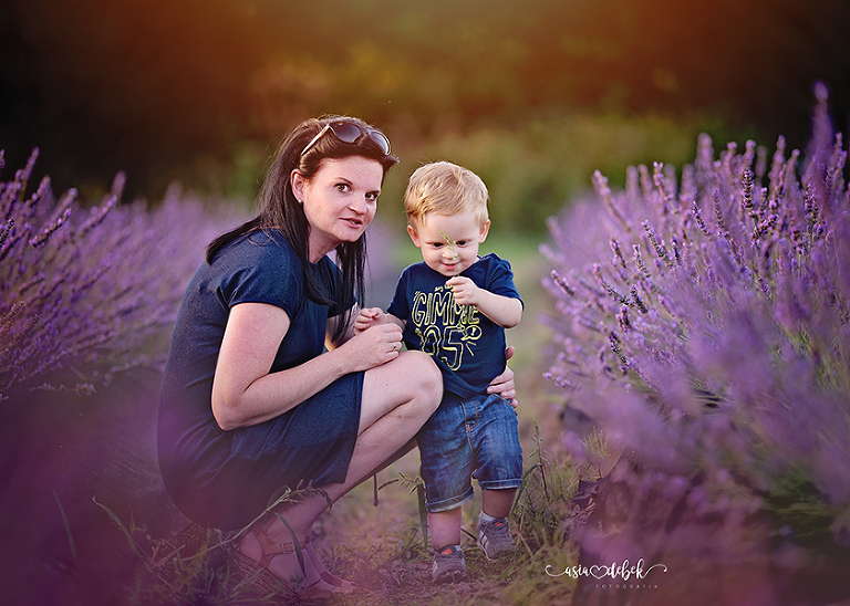 sesja w lawendzie Police Szczecin sesja lawenda