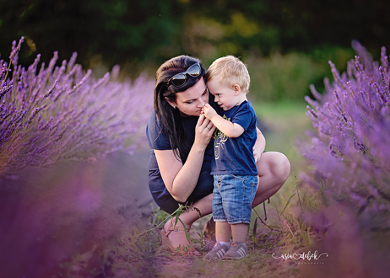 sesja w lawendzie Police Szczecin sesja lawenda