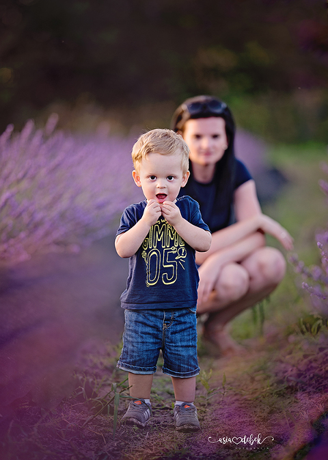 sesja w lawendzie Police Szczecin sesja lawenda