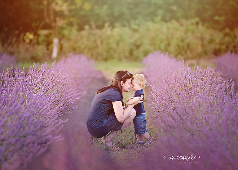 sesja w lawendzie Police Szczecin sesja lawenda