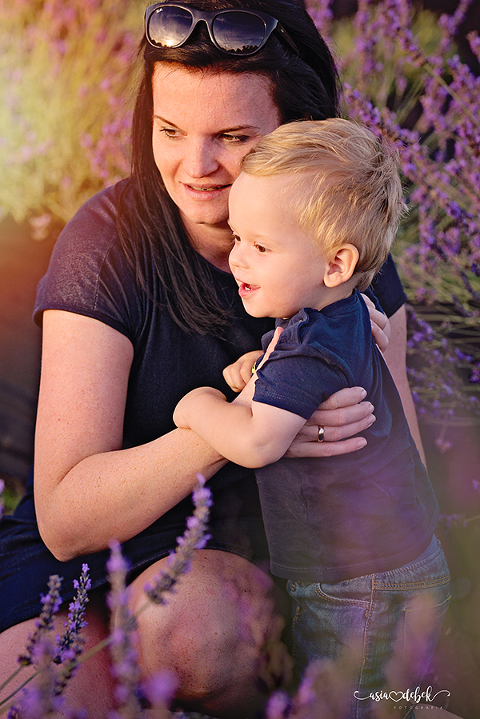 sesja w lawendzie Police Szczecin sesja lawenda