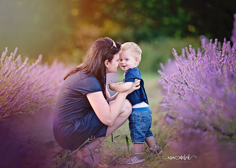sesja w lawendzie Police Szczecin sesja lawenda