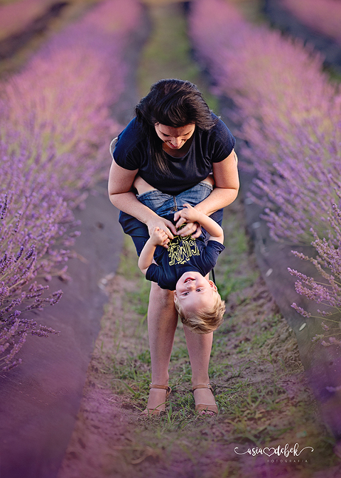 sesja w lawendzie Police Szczecin sesja lawenda