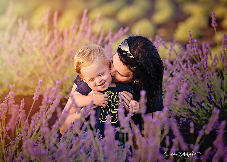 sesja w lawendzie Police Szczecin sesja lawenda