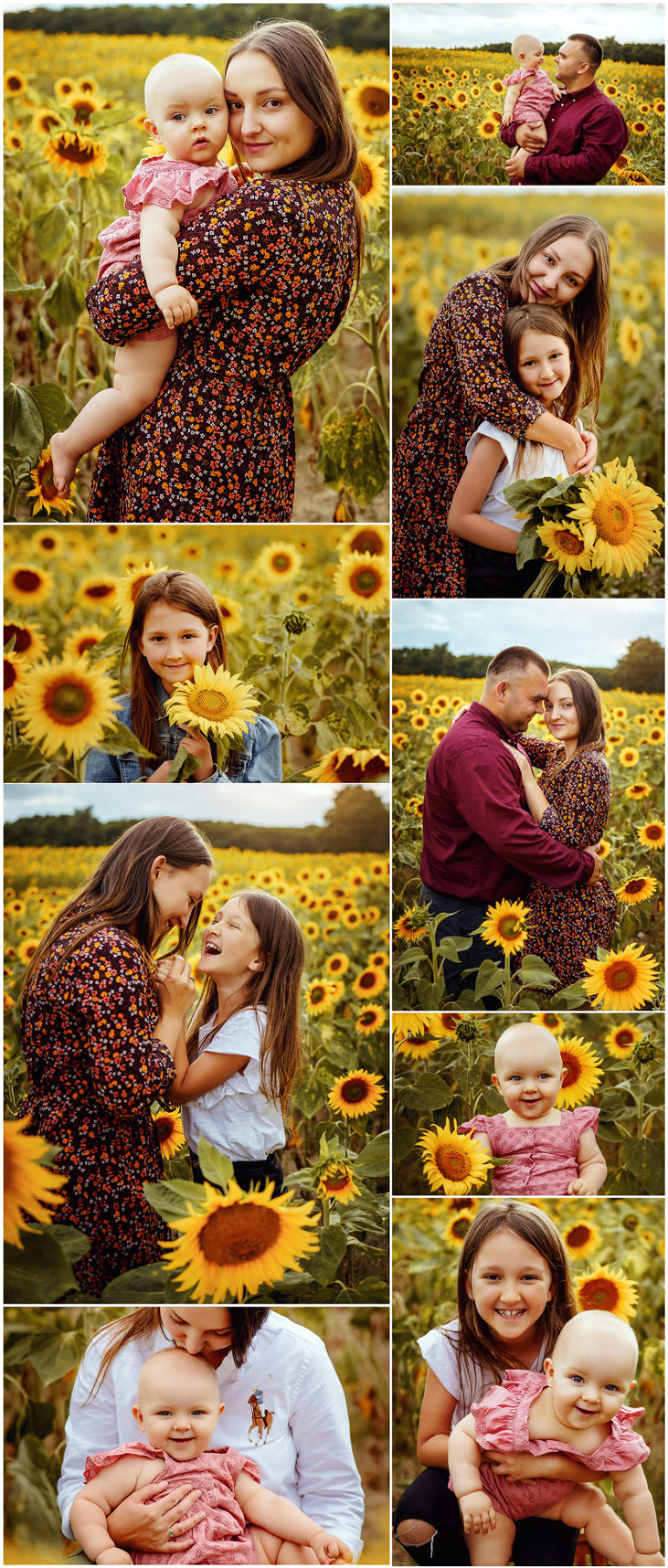 słoneczniki sesja na polu słoneczników rodzinna