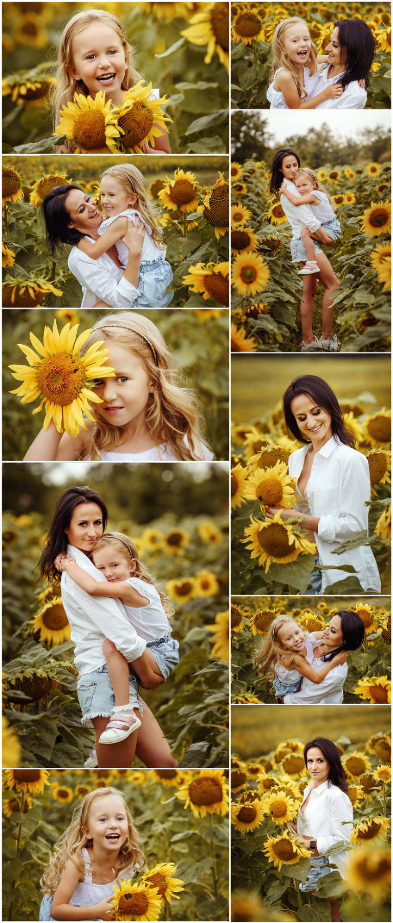 sesja w słonecznikach