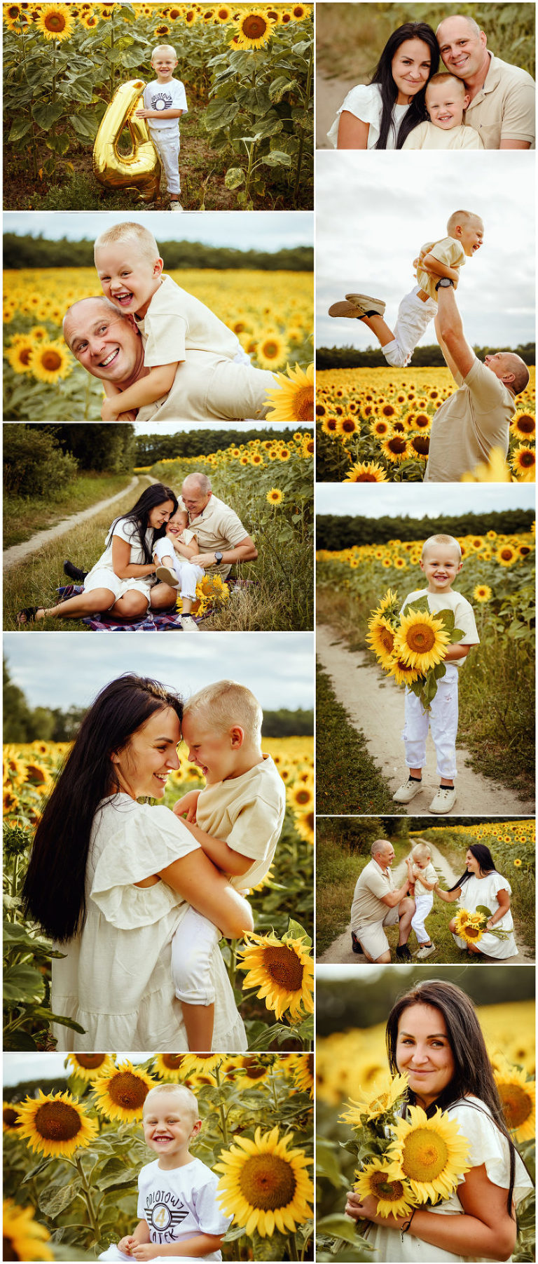 Szczecin, pole słoneczników, sesja rodzinna na polu słoneczników