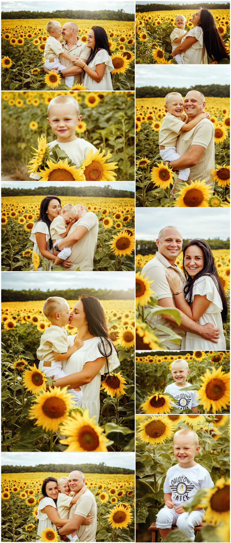 sesja w słonecznikach, rodzina, słoneczniki, pole słoneczników