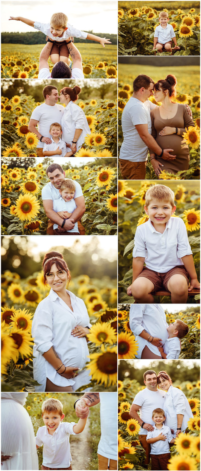 sesja w słonecznikach